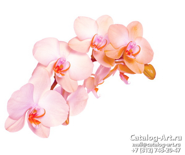 Натяжные потолки с фотопечатью - Розовые орхидеи 76